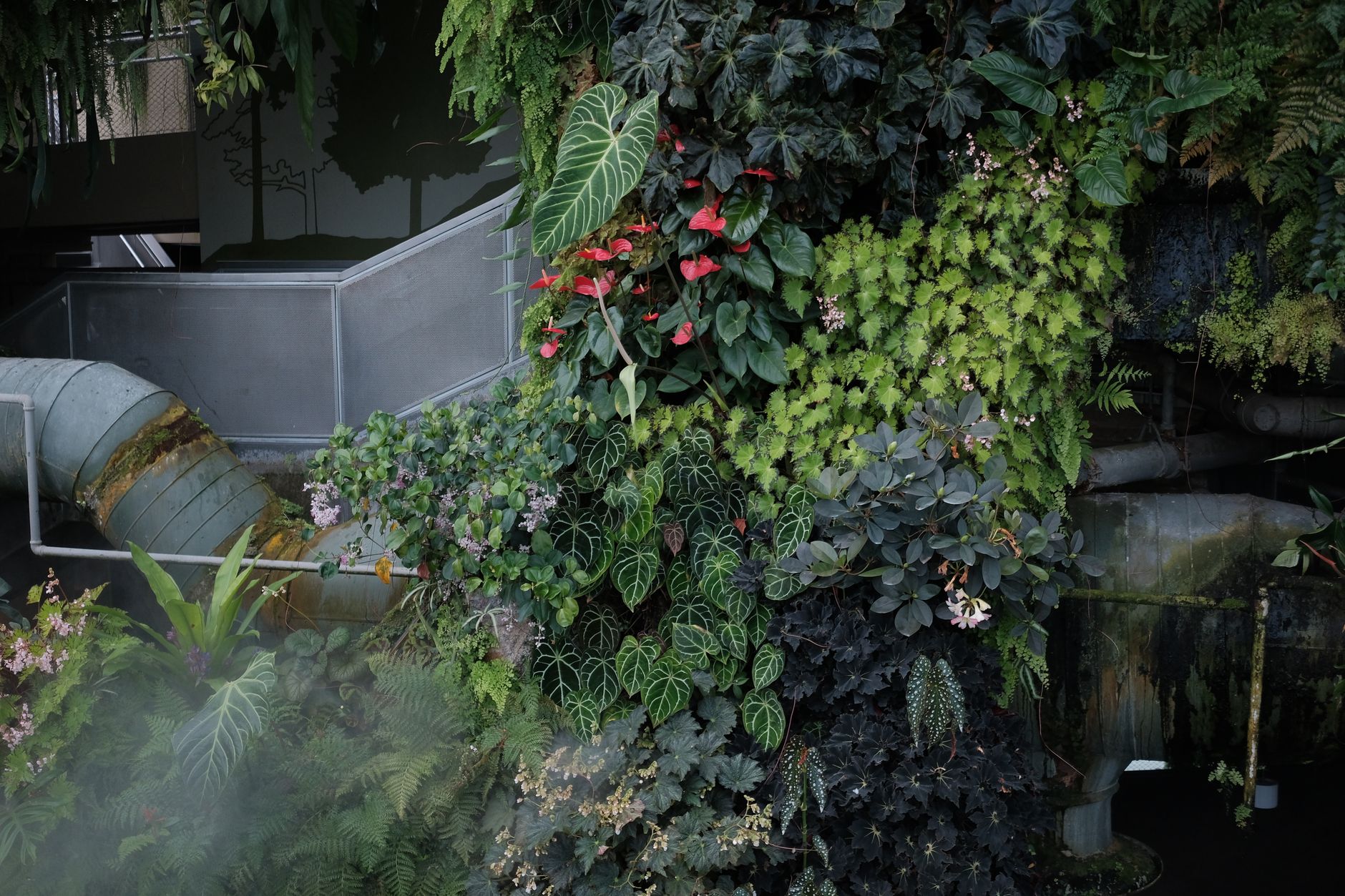 Ilustracja: Co to jest vertical garden – kompletny przewodnik po og Co to jest vertical garden – kompletny przewodnik po ogrodzie wertykalnym - zdjecie w tresci