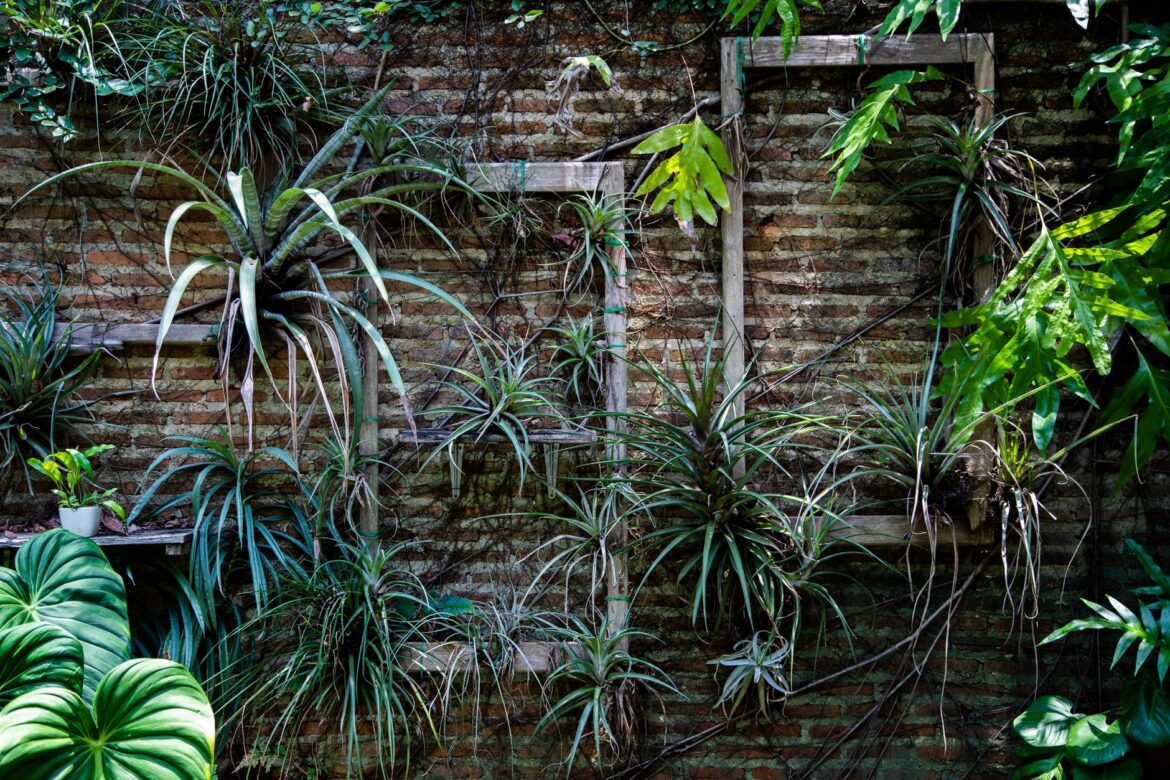 Co to jest vertical garden – kompletny przewodnik po ogrodzie wertykalnym - ilustracja artykulu